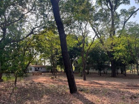 Chácara em Sitio Santa Maria