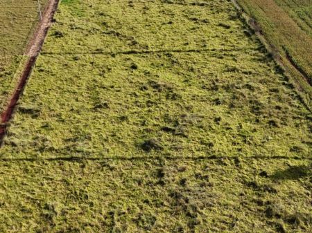 Área em Zona Rural