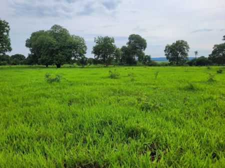 Fazenda em Zona Rural