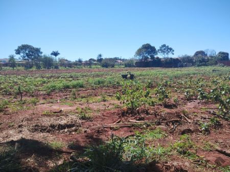 Área em Pioneiros