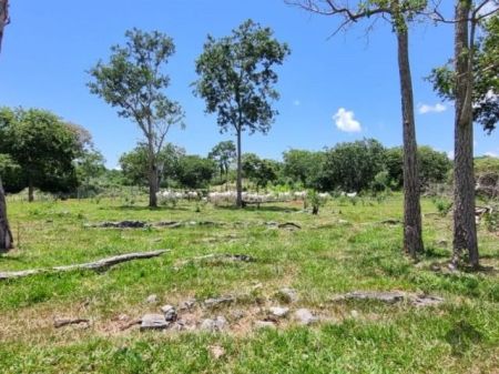 Fazenda em Zona Rural