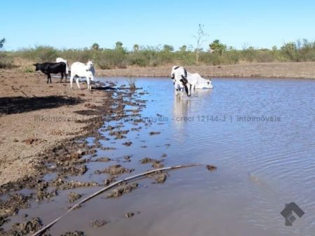 Fazenda em Zona Rural
