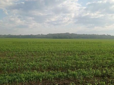 Fazenda em Zona Rural