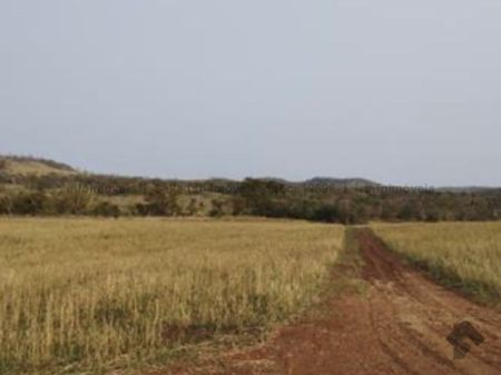 Fazenda em Zona Rural