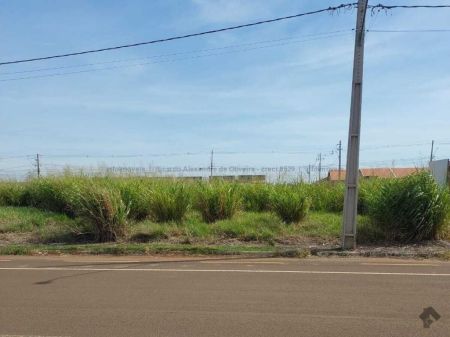 Terreno em Residencial Figueiras do Parque