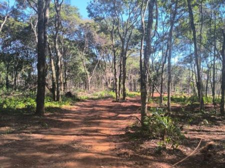 Área em Zona Rural