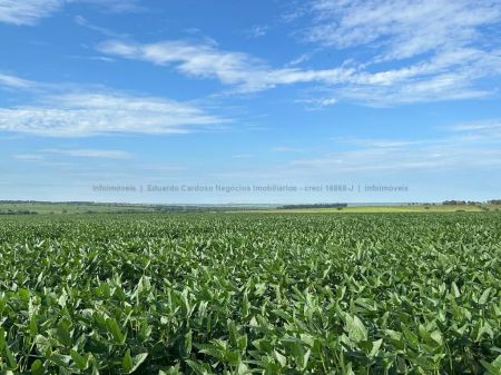 Área em Zona Rural