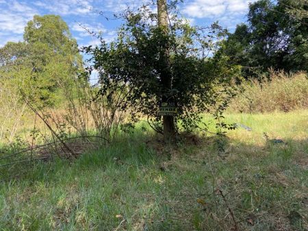 Área em Jardim N. Sra. do Perpétuo Socorro