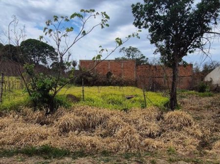 Terreno em Mata do Segredo