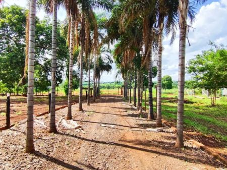 Chácara em Zona Rural