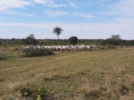 Fazenda em Zona Rural