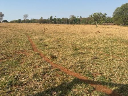 Fazenda em Zona Rural