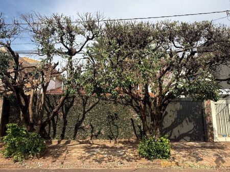 Casa-Térrea em Vila Célia