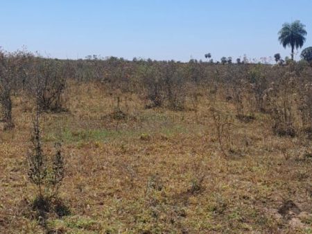 Chácara em Zona Rural