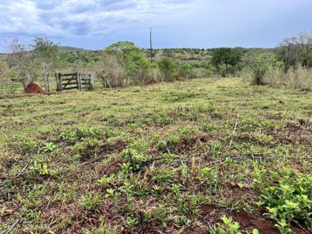 Fazenda em Zona Rural