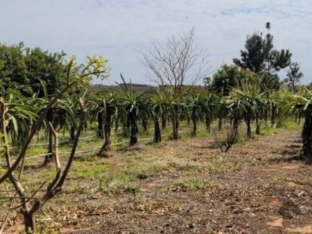 Chácara em Zona Rural