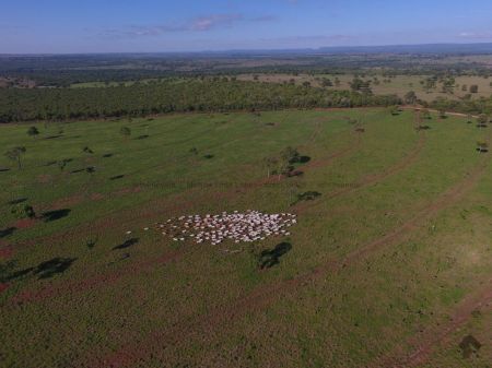 Fazenda em Zona Rural
