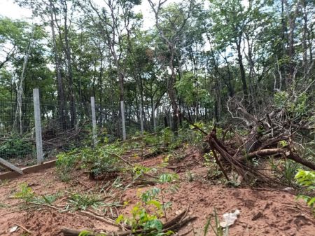 Chácara em Zona Rural
