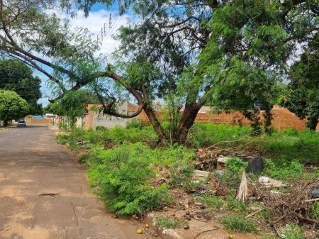 Terreno em Vila Almeida