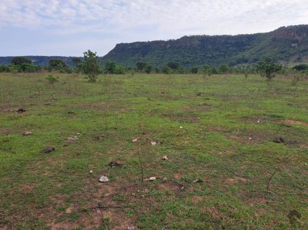 Fazenda em Zona Rural