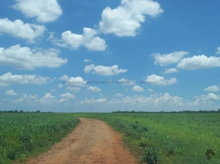 Fazenda em Zona Rural