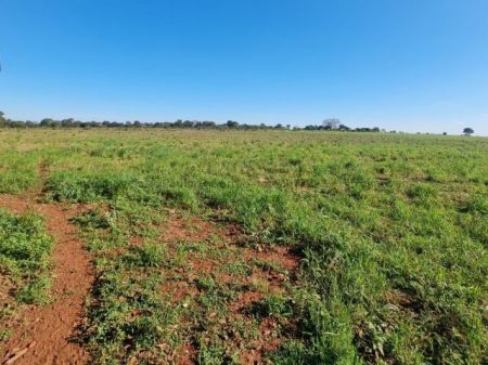 Chácara em Zona Rural