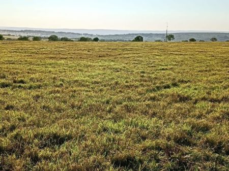 Fazenda em Zona Rural