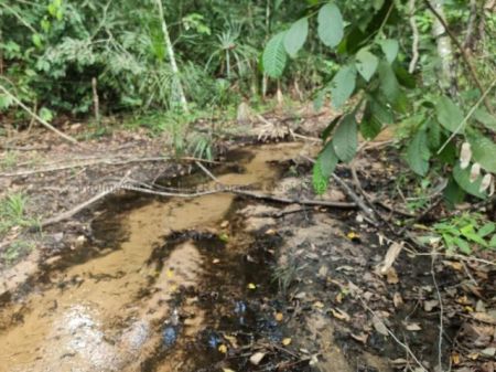 Chácara em Zona Rural