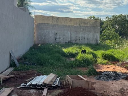 Terreno em Vila do Polonês