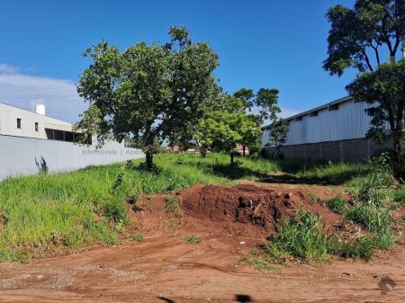Área em Jardim Columbia