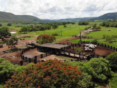 Fazenda em Zona Rural