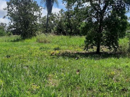 Terreno em Tarumã Hipica Park