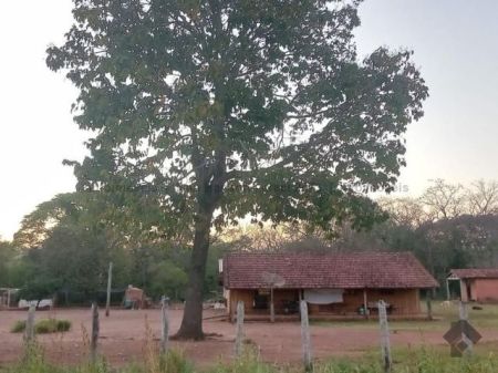 Fazenda em Zona Rural