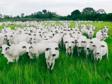 Fazenda em Zona Rural