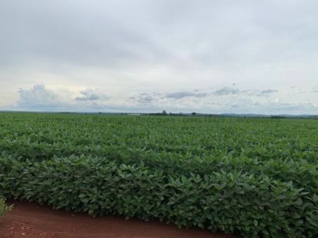 Fazenda em Zona Rural