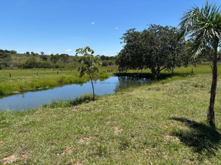 Fazenda em Zona Rural