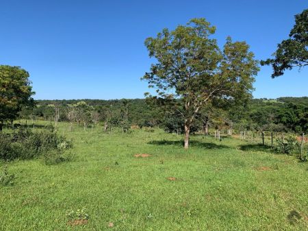 Fazenda em Zona Rural