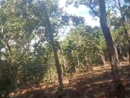 Terreno em Parque Atlântico