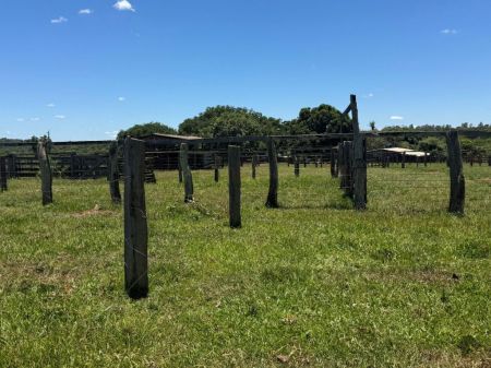 Fazenda em Anhanduí