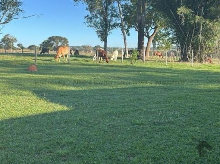 Fazenda em Zona Rural