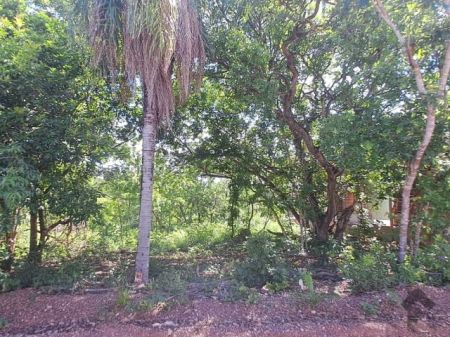 Terreno em Tarumã Hipica Park