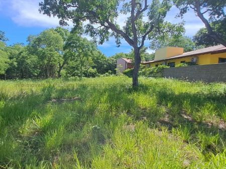 Terreno em Tarumã Hipica Park