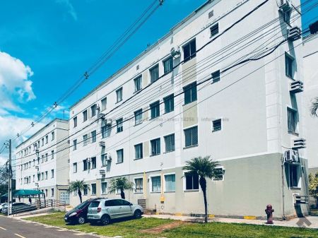 Apartamento em Pioneiros
