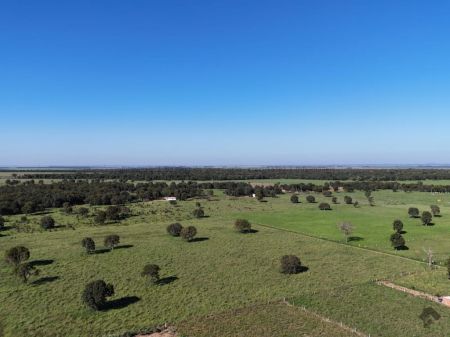 Área em Zona Rural