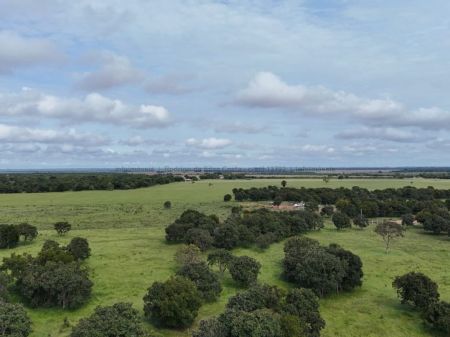 Área em Zona Rural