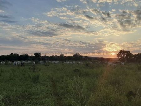 Fazenda em Zona Rural