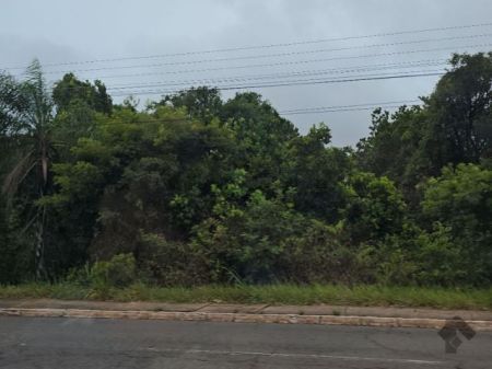 Área em Jardim Cidade Morena