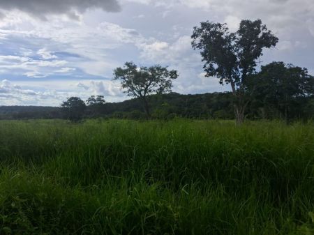 Fazenda em Zona Rural