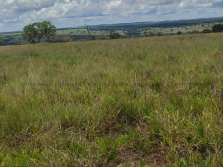 Fazenda em Zona Rural