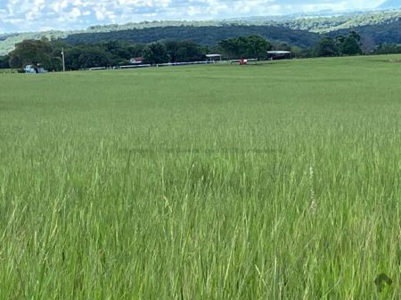 Fazenda em Zona Rural